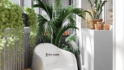新家去除甲醛，5個(gè)簡易妙招助你輕松應(yīng)對(duì)！
